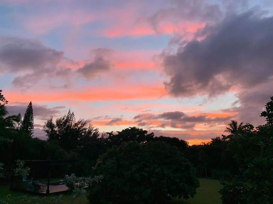 North Shore Garden Studio Haleiwa